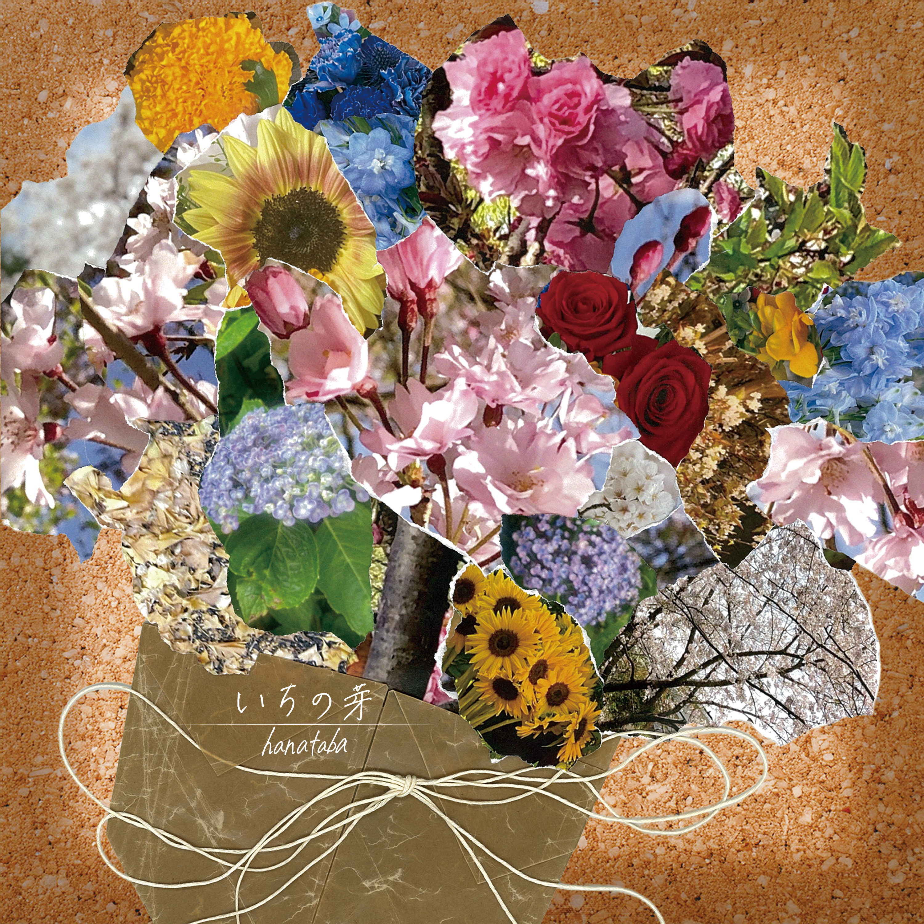 hanataba いちの芽 ジャケット